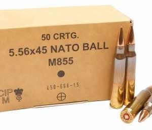 ggg 5.56x45mm nato ammunition m855 ss109 62 grain fmj penetrator steel core ammo can 1000 rounds