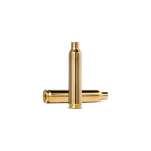 winchester 204 ruger brass (bag of 100)