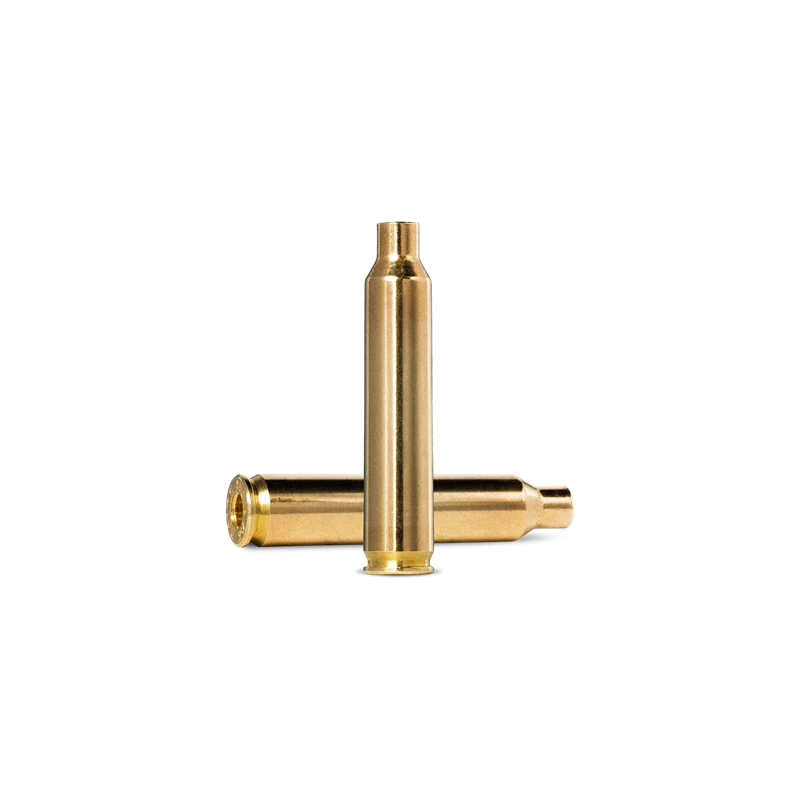winchester 204 ruger brass (bag of 100) winchester 204 ruger brass (bag of 100)